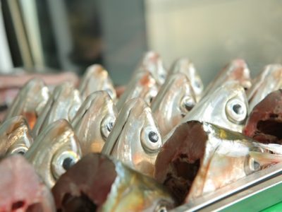 龍膽 鱸魚 虱目魚 在地新鮮美味